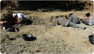 Treballs d'excavació a l'Espinau, setembre de 2012. 