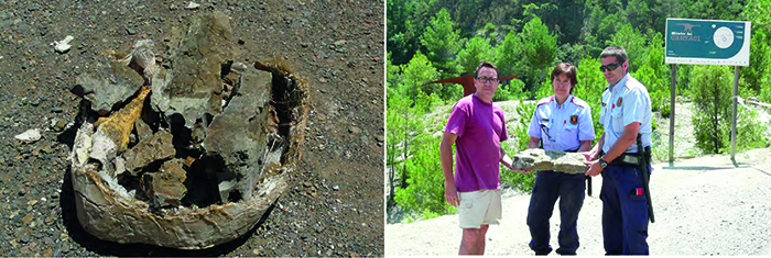 Estat en el qual es va recuperar el fòssil (esquerra) i moment en que els Mossos d'Esquadra el van retornar als investigadors (dreta)