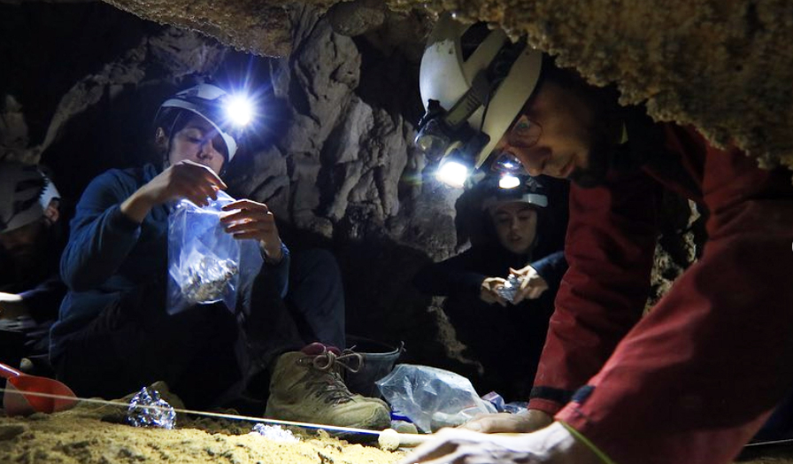 Les condicions en les que treballa l'equip d'excavació a l'interior de la cova no són fàcils: poc espai, hi ha molta humitat i hi fa força fred