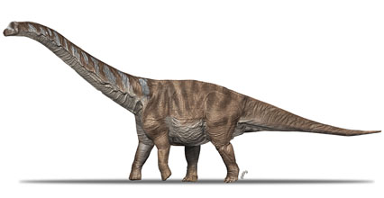 Recreació de l’aspecte en vida d’Abditosaurus kuehnei (Oscar Sanisidro / Museu de la Conca Dellà)