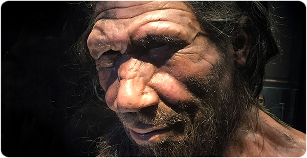 Recreació de l'aspecte en vida d'un home neandertal al Museu d'Història Natural de Londres. (Foto: Allan Henderson sota llicència CC BY 2.0)