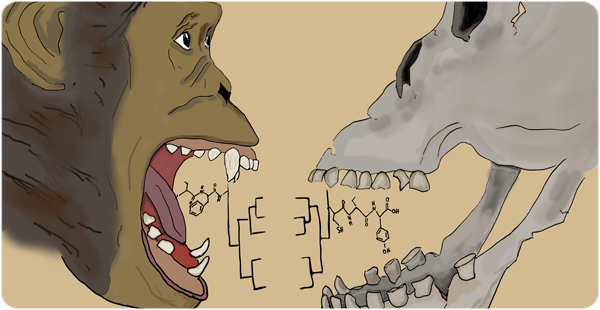 Representación artística de filogenias obtenidas a partir de proteínas del esmalte dental fósil, mostrando el potencial de la paleoproteómica en el estudio de especies extintas. Ilustración de Johanna Krueger. (Extraído de la imagen de portada de Genome Biology and Evolution, vol. 17, núm. 2, 2015)