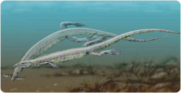 Recreació en vida de dos Pleurosaurus goldfussi, un esfenodont del Juràssic superior d'Alemanya i França. (© N. Tamura).
