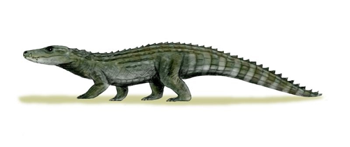 Reconstrucció d'Allodaposuchus precedens de Nobu Tamura (http://spinops.blogspot.com) – Treball propi. Sota llicència GFDL via Wikimedia Commons