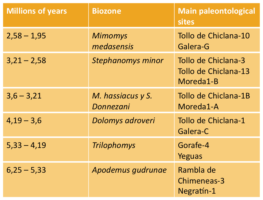 Biozones for the continental record of the Guadix Basin, following the research published by Raef Minwer-Barakat and colleagues.