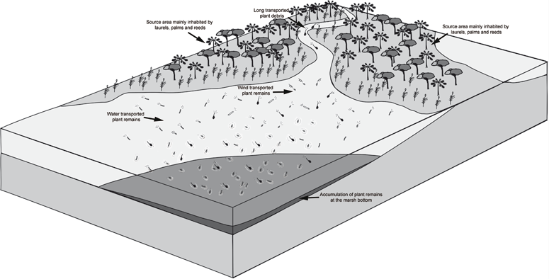 Diorama of Can Llobateres region during the Miocen, when Hispanopithecus lived there. Josep Marmi. ICP