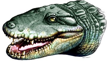 Reconstrucció del cap de Globidentosuchus brachyrostris, una de les noves espècies descrites. Jorge A. Gonzalez