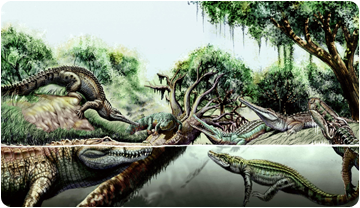 Reconstrucció de diverses espècies de cocodrils del Miocè. Jorge A. Gonzalez