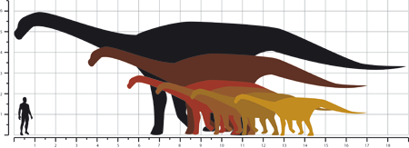 En negre, la mida estimada de l'exemplar trobat respecte altres dinosaures del Pirineu (Albert G. Sellés)