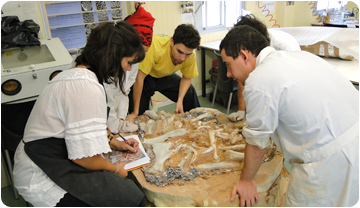 Imatge d'un sessió del curs de tècniques de preparació i conservació