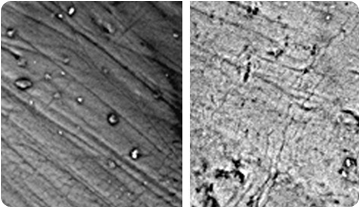 Superfície d'una dent d'Heteroprox al microscopi electrònic. Daniel DeMiguel. ICP