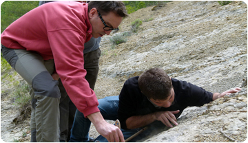 Els investigadors Àngel Galobart i Albert Garcia-Selles es disposen a realitzar un motlle de silicona del fòssil. ICP  . ICP