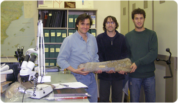 Els investigadors amb un dels fèmurs estuditats. D'esquerra a dreta, José Ignacio Canudo (UZ), Àngel Galobart (ICP) i Bernat Vila (UZ). 
