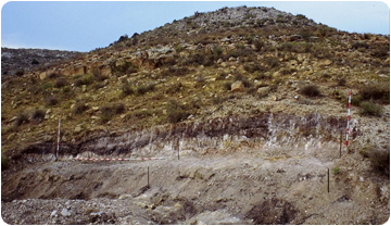 Imatge del Jaciment de Mazaterón, a Sòria. ICP