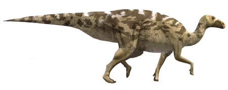 Reconstrucció de Pararhabdodon isonensis (Oscar Sanisidro)