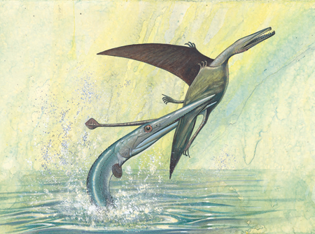 Pterosaure atacat per un peix (il·lustració de Roberto Zanella, cedida per cortesia del Museo Friulano di Storia Naturale, Udine, Itàlia)