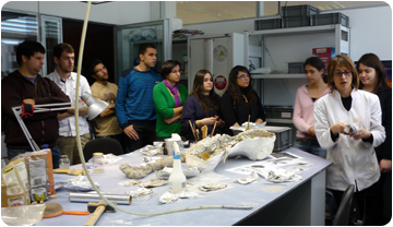 Imatge dels estudiants al laboratori de restauració