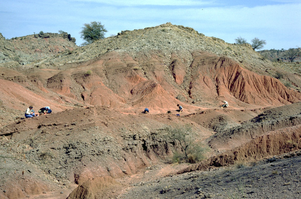 Excavació a Siwaliks (Catherine Badgley, University of Michigan)