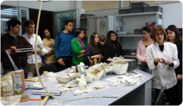 Estudiants de la Universitat de Girona visiten l’ICP