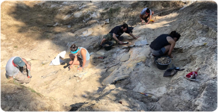 Excavació al jaciment dels Casots (Foto: Joan Madurell)