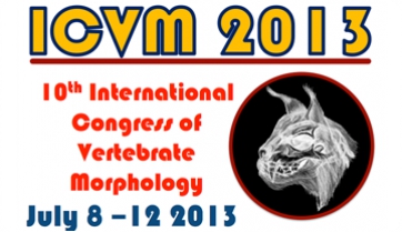 Meike Köhler impartirá la conferencia plenaria del ICVM 2013
