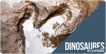 El ICP organiza un ciclo de conferencias sobre dinosaurios en el CosmoCaixa