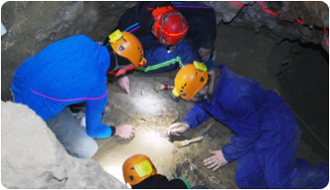 Lleons i lleopards surten de la Grotte de la Carrière