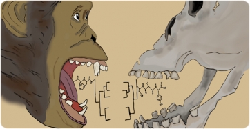 Representación artística de filogenias obtenidas a partir de proteínas del esmalte dental fósil, mostrando el potencial de la paleoproteómica en el estudio de especies extintas. 