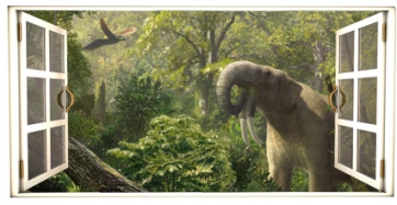 Una ventana para observar 25 millones de años de la fauna de Eurasia