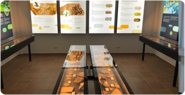 Imatge principal: L’exposició “Paleontologia a les Terres de Lleida. La Pedrera de Meià i l’inici d’un món modern”