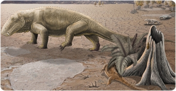 Guadalupian paleoenvironment reconstruction in Berguedà (Catalonia) and related fauna: on the left, the Brontopus trackmaker, partially obscured on the right, the Dromopus trackmaker, and in the far right background, two trackmakers of Hyloidichnus. Roc Olivé / © Institut Català de Paleontologia Miquel Crusafont. With the collaboration of Fundación Española para la Ciencia y la Tecnología – Ministerio de Economía, Industria y Competitividad. 