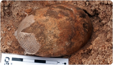 La troballa d’un ou sencer de ratites clou una reeixida campanya d’excavacions a les Canàries