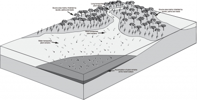 The extinction of Hispanopithecus: just a matter of plants?