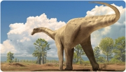 Large and small titanosaurs: different sizes, one gait