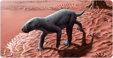 Reconstruction of the appearance in life of a gorgonopsian in a floodplain of the Permian of Mallorca (Author: Henry Sutherland Sharpe©).