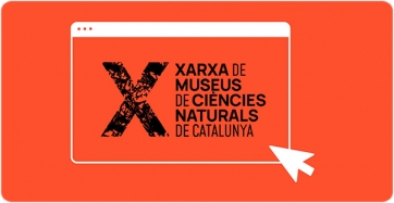 Imatge gráfica de la Xarxa de Museus de Ciències Naturals de Catalunya