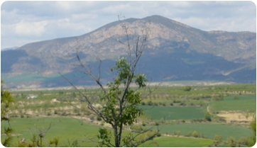 Reconocimiento y protección para los yacimientos de dinosaurios de Cataluña