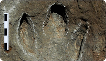 Rere les passes dels últims dinosaures europeus