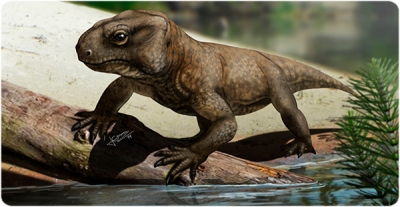 Recreación del aspecto en vida de la nueva especie de reptil procolofónido Kapes signus descrita en el área del Montseny. (Jesús Gamarra / © Institut Català de Paleontologia Miquel Crusafont)