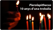 Pierolapithecus: 10 anys d’una troballa