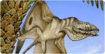 Descobert un rar pterosaure triàsic a Utah