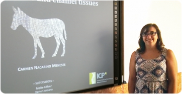 Zebres, cavalls i ases, objecte d’una nova tesi doctoral a l’ICP