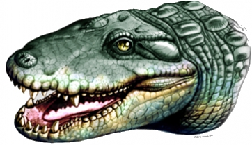 The rise and fall of South American Miocene crocodiles